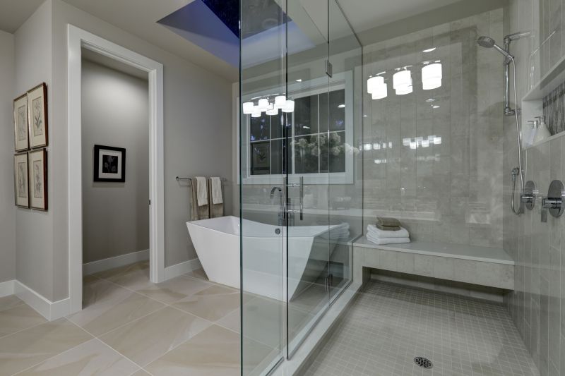 Elegant Frameless Shower